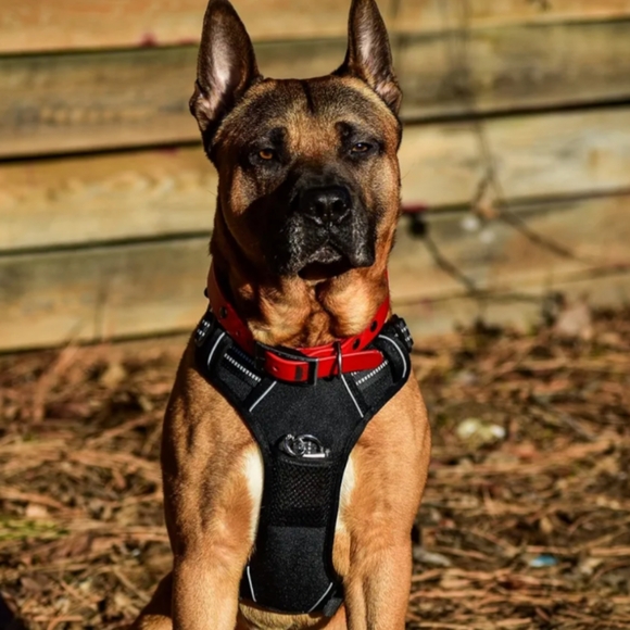 No Pull Dog Harness, New - Picture 2 of 11